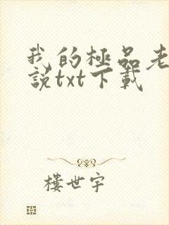 我的极品老婆小说txt下载