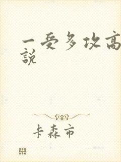 一受多攻高h小说