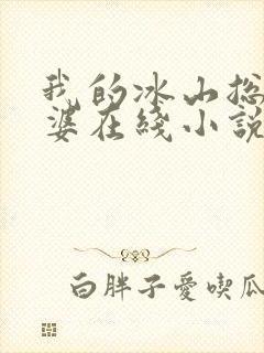 我的冰山总裁老婆在线小说