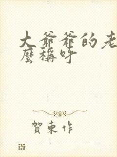 大爷爷的老婆怎么称呼