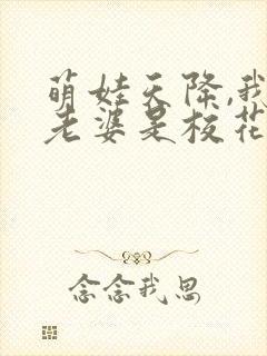 萌娃天降,我的老婆是校花全剧介绍