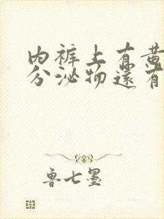 内裤上有黄黄的分泌物还有异味是怎么回事