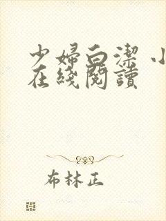 少妇白洁 小说在线阅读