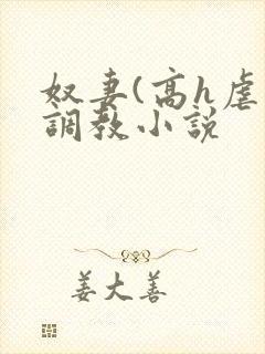 奴妻(高h虐身调教小说