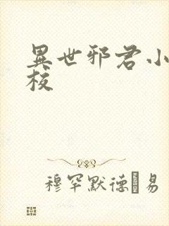 异世邪君小说精校