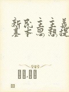 新民主主义革命基本思想提出