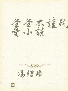 爸爸不让我谈恋爱小说