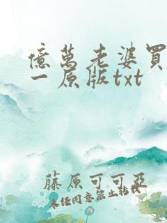 亿万老婆买一送一原版txt