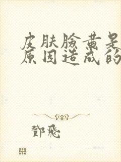 皮肤脸黄是什么原因造成的