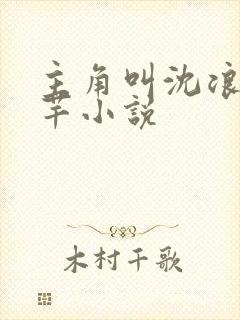 主角叫沈浪徐芊芊小说