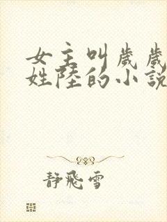 女主叫岁岁男主姓陆的小说