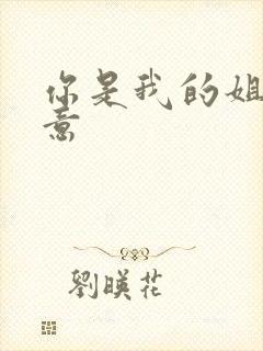 你是我的姐妹安意