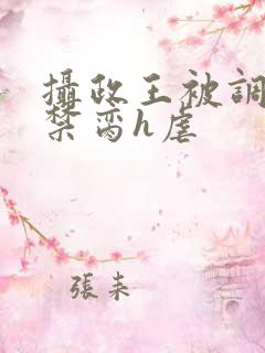 摄政王被调教成禁脔h虐