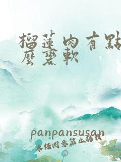 榴莲肉有点硬怎么变软