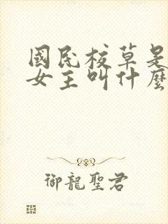 国民校草是女生女主叫什么