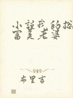 小说我的总裁白富美老婆