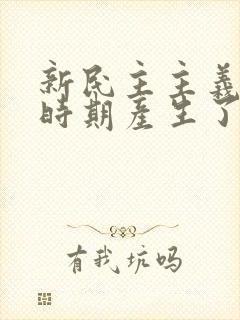 新民主主义革命时期产生了