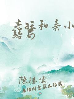 老旺和秦小雨大结局
