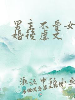 男主不爱女主的婚后虐文