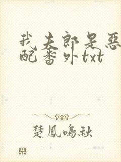 我夫郎是恶毒男配番外txt