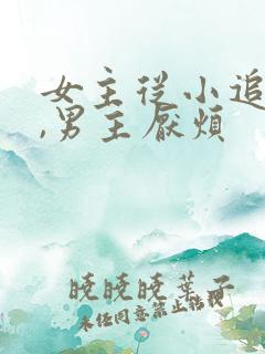 女主从小追男主,男主厌烦