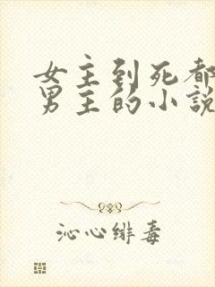 女主到死都不爱男主的小说