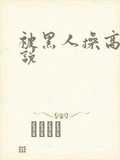 被黑人操高潮小说