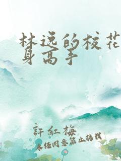 林逸的校花的贴身高手