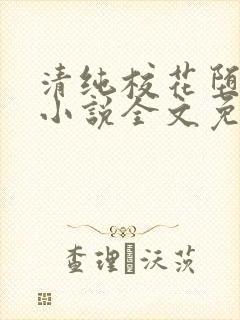 清纯校花堕落记小说全文免费阅读