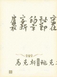 房客的秘密陈海最新章节在线阅读