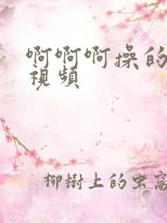 啊啊啊操的好爽视频