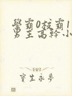 学霸0校霸1双男主高干小说免费阅读