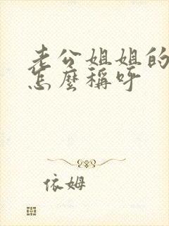 老公姐姐的丈夫怎么称呼