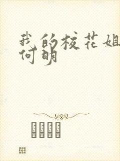 我的校花姐姐 何明