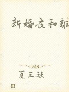 新婚夜和离