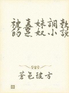 被表妹调教成她的足奴小说