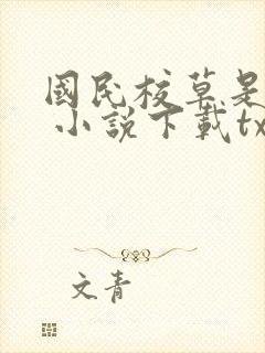 国民校草是女生 小说下载txt