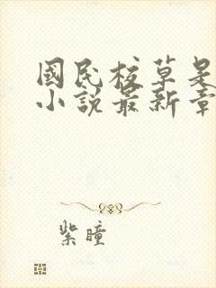 国民校草是女生小说最新章节阅读