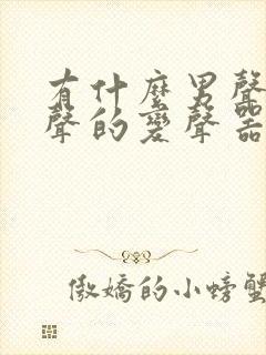 有什么男声变女声的变声器