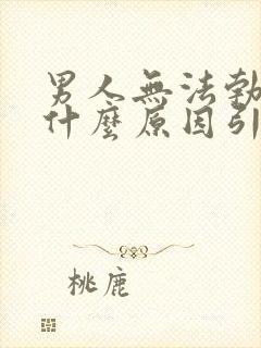 男人无法勃起是什么原因引起的