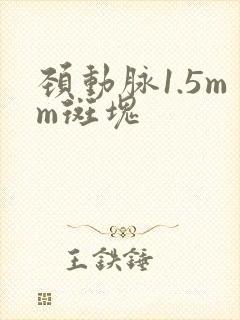 颈动脉1.5mm斑块