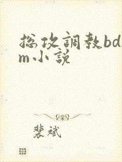 总攻调教bdsm小说