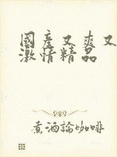 国产又爽又黄的激情精品