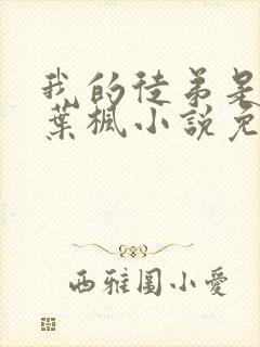 我的徒弟是女帝叶枫小说免费阅读