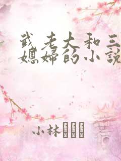武老大和三个儿媳妇的小说