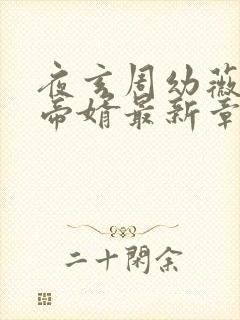 夜玄周幼薇万古帝婿最新章节起点