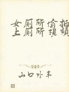 女厕所偷拍女生上厕所视频在线观看