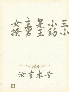 女主是小三主动撩男主的小说