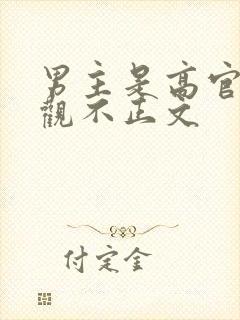 男主是高官的三观不正文