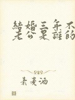 结婚三年不知道老公是谁的小说